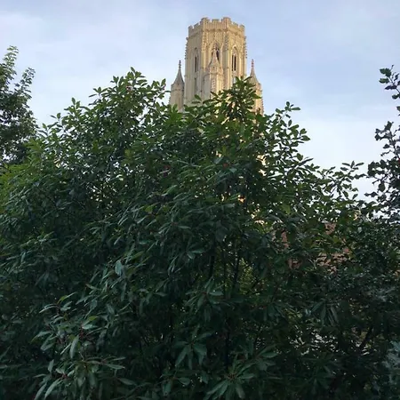 Huge Studio Flat In Berkeley Square شقة *